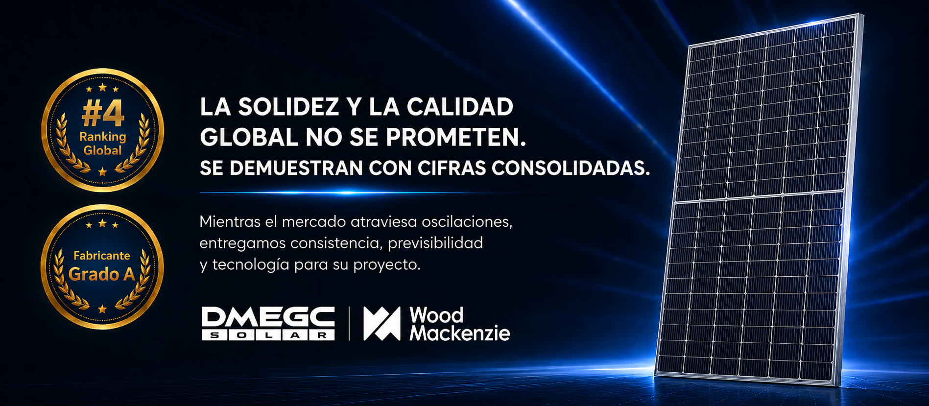 DMEGC Solar asume la 4ª posición en el Ranking Global de Wood Mackenzie y obtiene clasificación Grado A en Bancabilidad